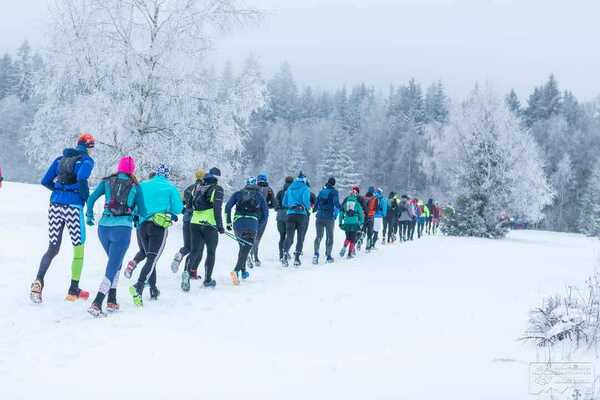 Zimowy Półmaraton Gór Stołowych 2023 